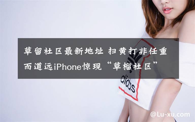 草留社区最新地址 扫黄打非任重而道远iPhone惊现“草榴社区”APP版