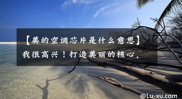 【美的空调芯片是什么意思】我很高兴！打造美丽的核心，一步一步突破文章配图