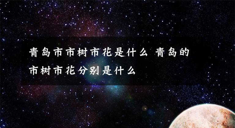 青岛市市树市花是什么 青岛的市树市花分别是什么