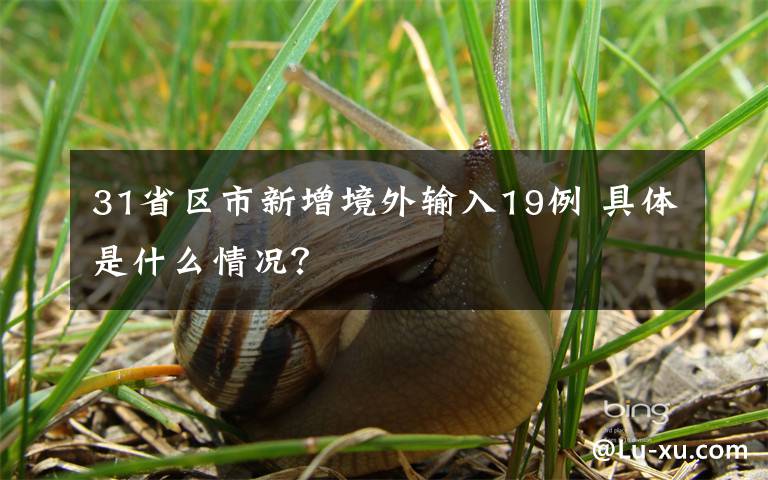 31省区市新增境外输入19例 具体是什么情况？文章配图