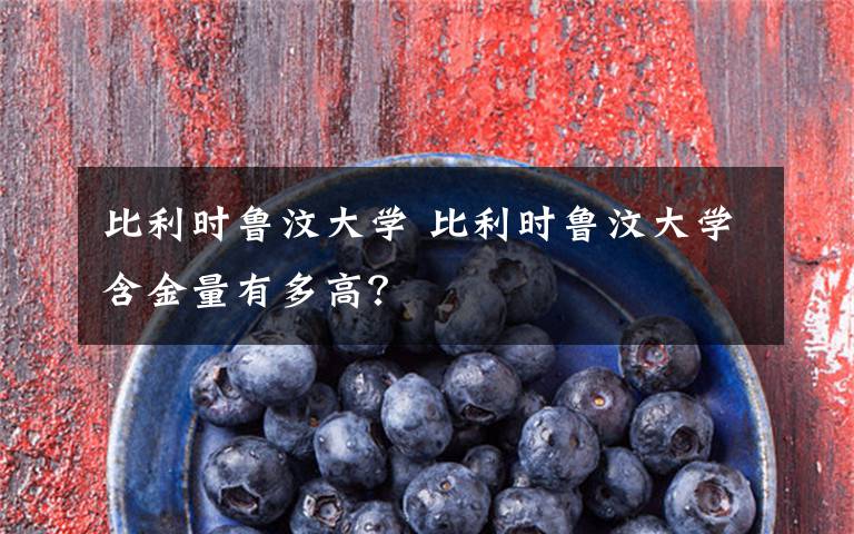 比利时鲁汶大学 比利时鲁汶大学含金量有多高？文章配图