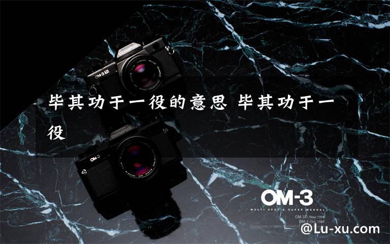 毕其功于一役的意思 毕其功于一役文章配图