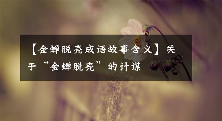 【金蝉脱壳成语故事含义】关于“金蝉脱壳”的计谋文章配图