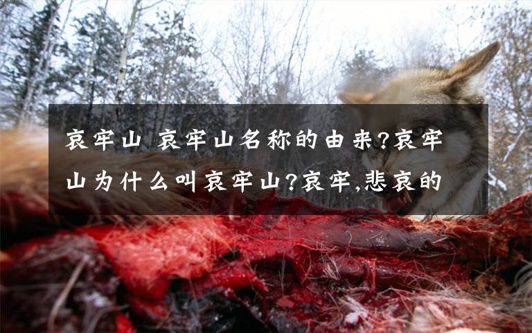 哀牢山 哀牢山名称的由来?哀牢山为什么叫哀牢山?哀牢,悲哀的监牢.可有什么典故吗文章配图
