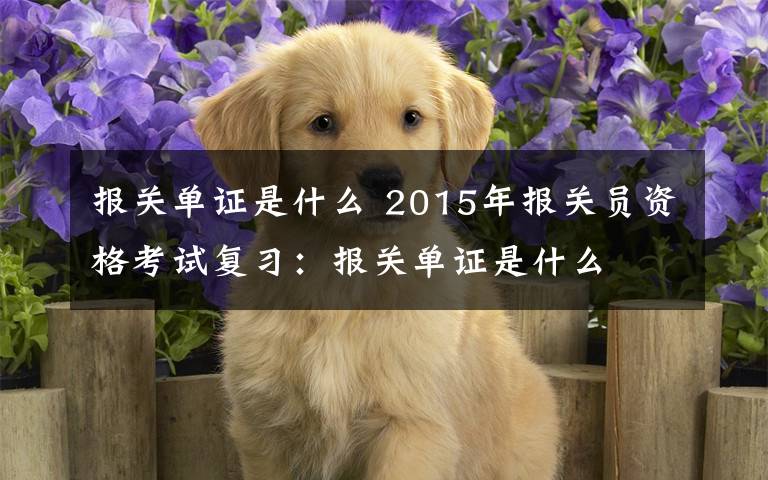 报关单证是什么 2015年报关员资格考试复习：报关单证是什么文章配图