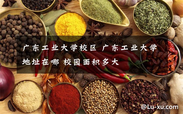 广东工业大学校区 广东工业大学地址在哪 校园面积多大文章配图