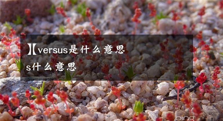 【versus是什么意思
】versus什么意思