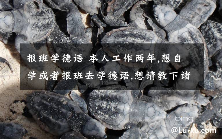 报班学德语 本人工作两年,想自学或者报班去学德语,想请教下诸如我这类的情况有哪些有用的德语证书能去考?文章配图