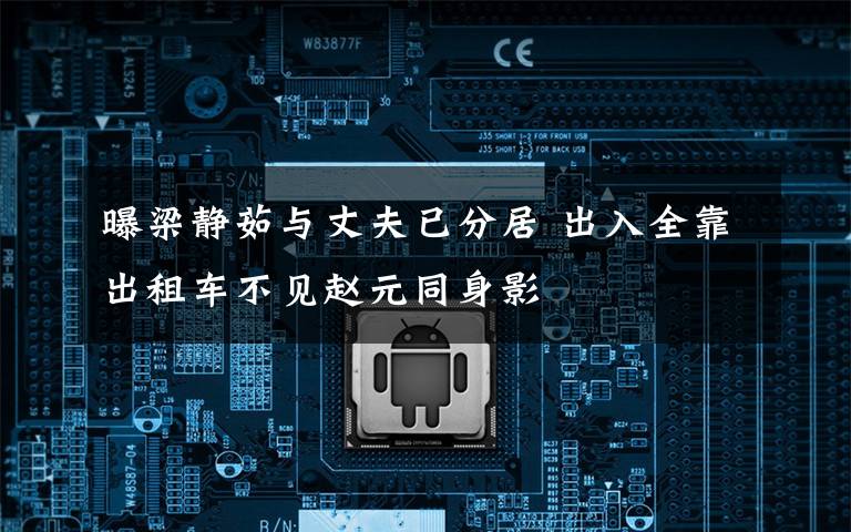 曝梁静茹与丈夫已分居 出入全靠出租车不见赵元同身影文章配图