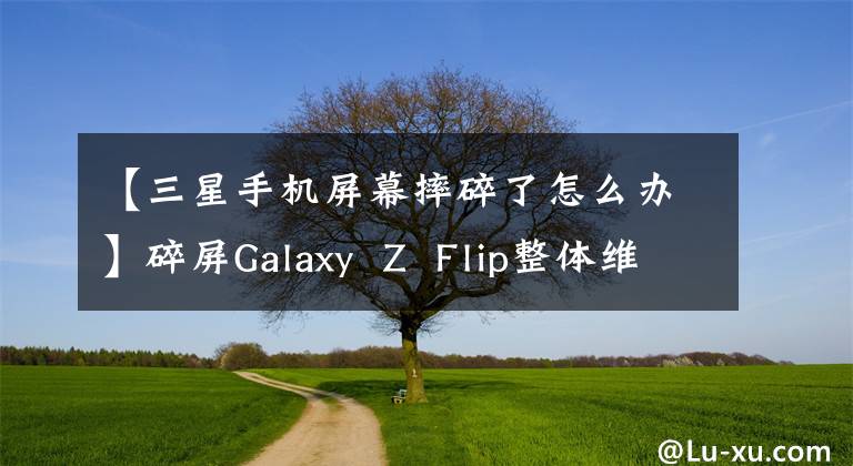 【三星手机屏幕摔碎了怎么办】碎屏Galaxy Z Flip整体维护指南：费用约为5128元