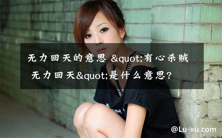 无力回天的意思 "有心杀贼 无力回天"是什么意思?文章配图