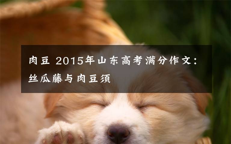 肉豆 2015年山东高考满分作文：丝瓜藤与肉豆须文章配图