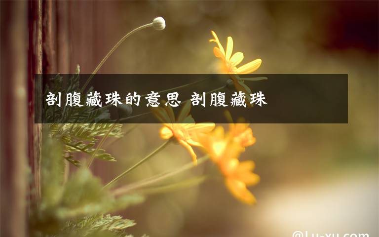 剖腹藏珠的意思 剖腹藏珠文章配图