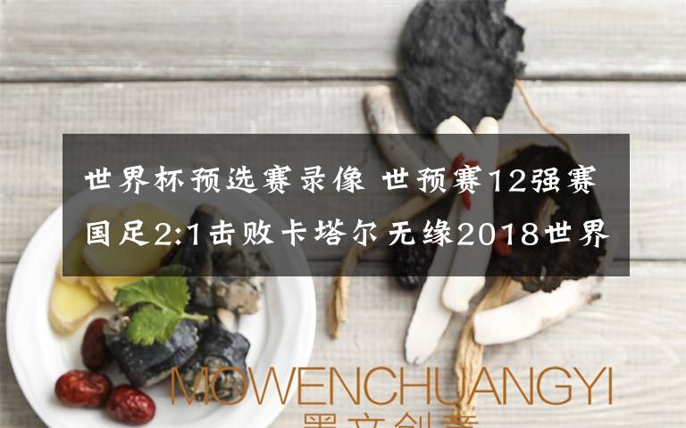 世界杯预选赛录像 世预赛12强赛国足2:1击败卡塔尔无缘2018世界杯 国足全场视频回放