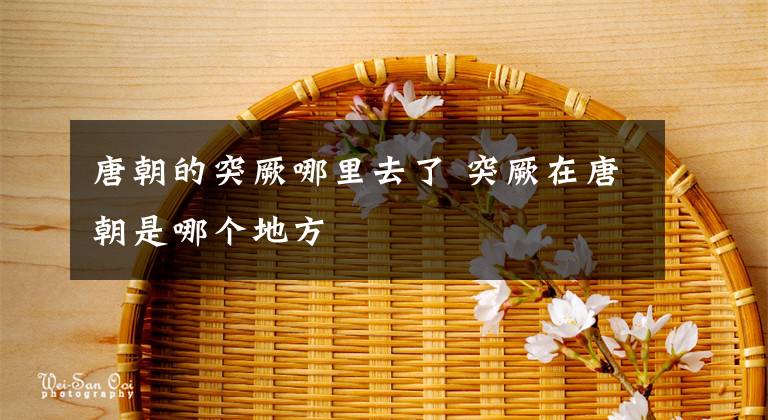 唐朝的突厥哪里去了 突厥在唐朝是哪个地方文章配图