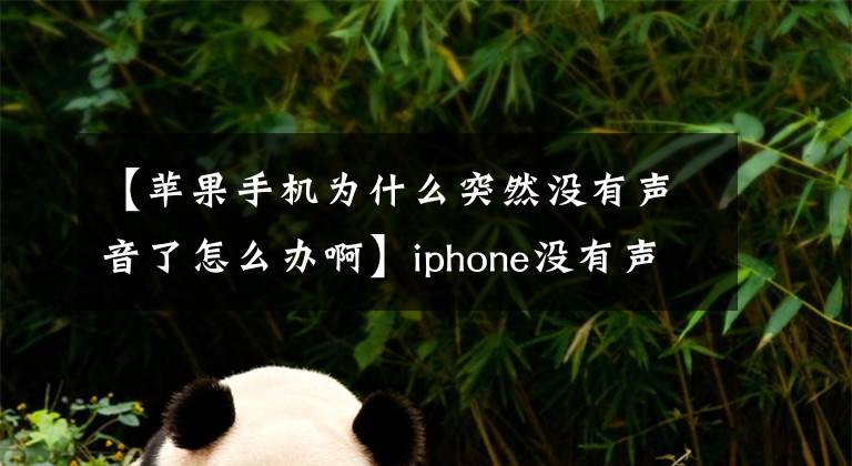 【苹果手机为什么突然没有声音了怎么办啊】iphone没有声音时7种故障排除方法文章配图