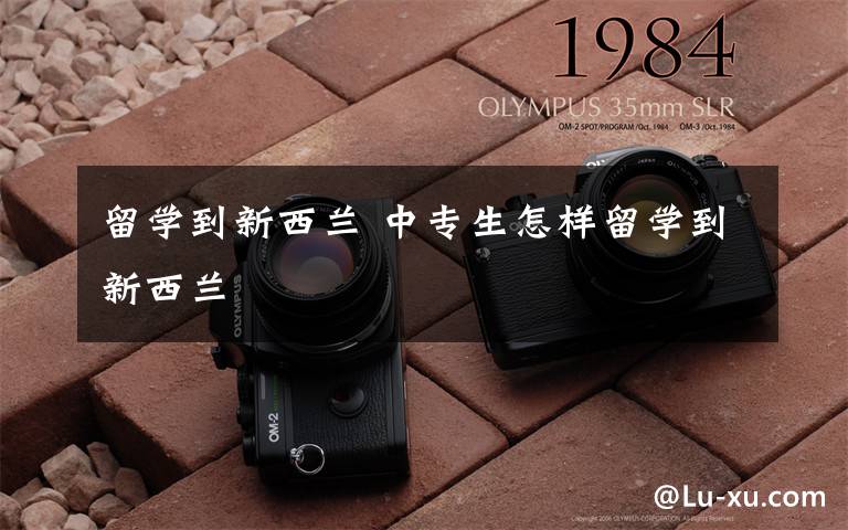 留学到新西兰 中专生怎样留学到新西兰文章配图