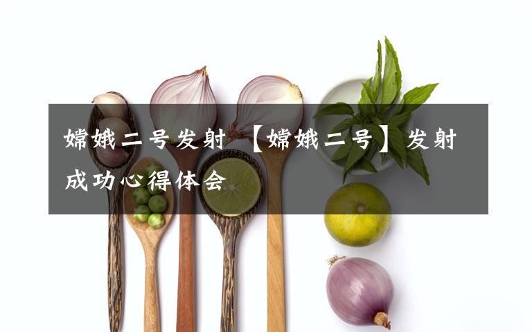嫦娥二号发射 【嫦娥二号】发射成功心得体会文章配图