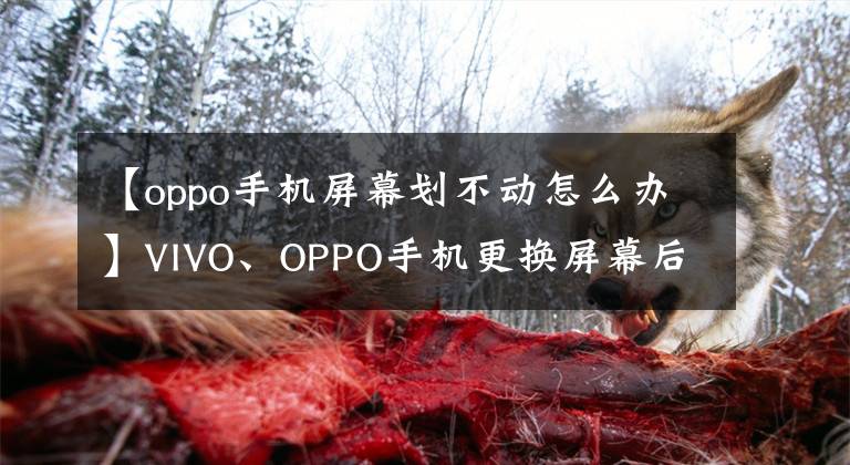 【oppo手机屏幕划不动怎么办】VIVO、OPPO手机更换屏幕后容易出故障的维修！