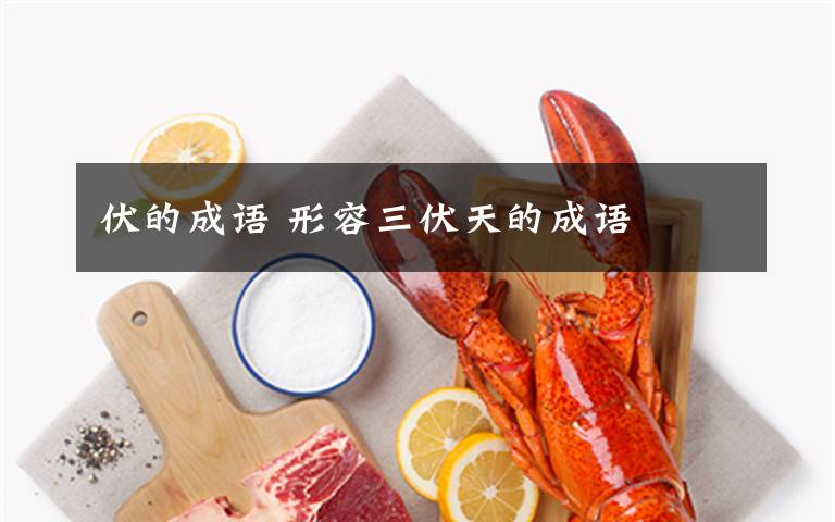 伏的成语 形容三伏天的成语文章配图