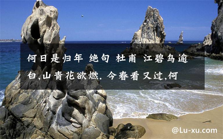 何日是归年 绝句 杜甫 江碧鸟逾白,山青花欲燃. 今春看又过,何日是归年?文章配图