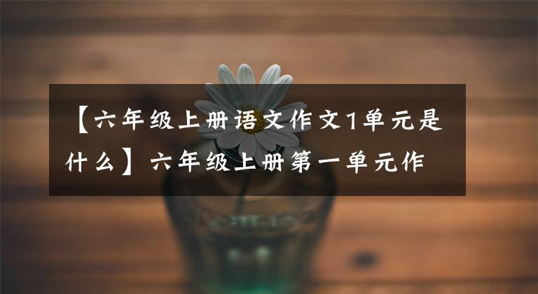 【六年级上册语文作文1单元是什么】六年级上册第一单元作文《变形记》怎么写？语文老师给你写了范文