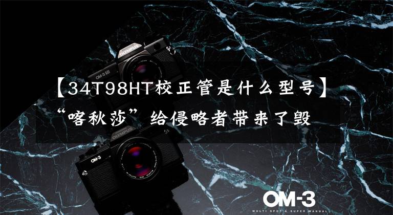 【34T98HT校正管是什么型号】“喀秋莎”给侵略者带来了毁灭的灾难！盘点抗美援朝经典武器。文章配图