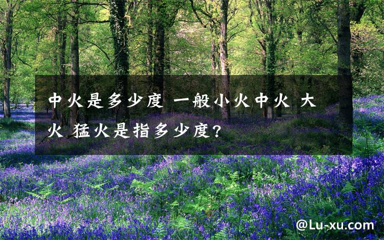 中火是多少度 一般小火中火 大火 猛火是指多少度?文章配图