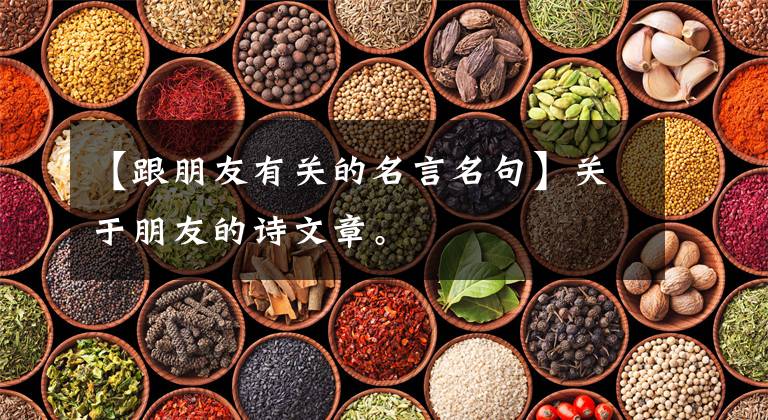 【跟朋友有关的名言名句】关于朋友的诗文章。文章配图