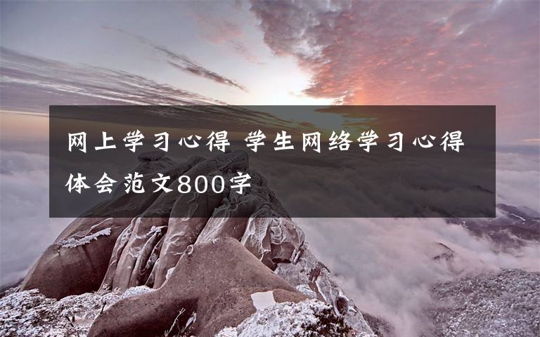 网上学习心得 学生网络学习心得体会范文800字文章配图