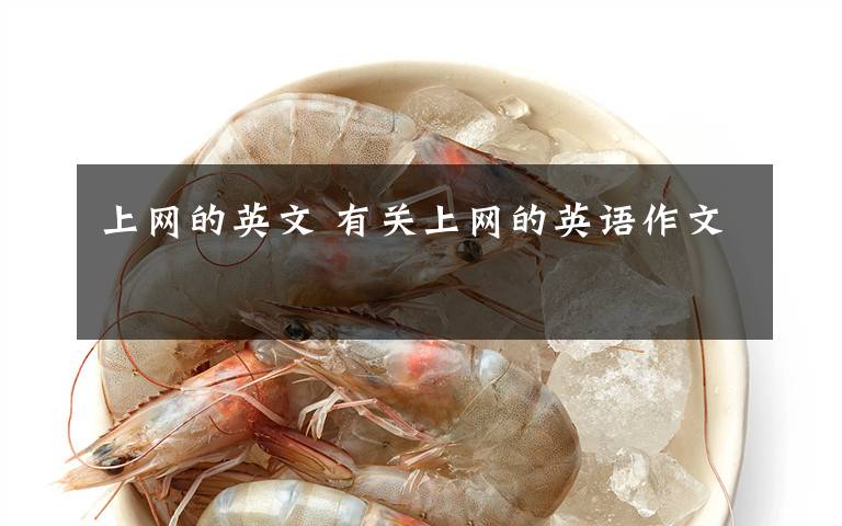 上网的英文 有关上网的英语作文文章配图