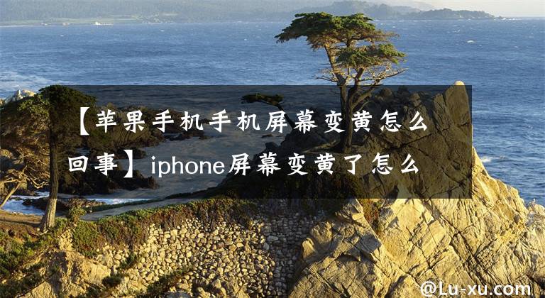 【苹果手机手机屏幕变黄怎么回事】iphone屏幕变黄了怎么办？教你三秒钟修理。文章配图