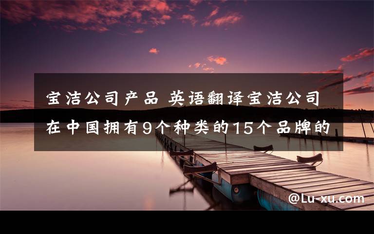 宝洁公司产品 英语翻译宝洁公司在中国拥有9个种类的15个品牌的产品,包括头发护理产品,个人清洁用品,皮肤护理产品,洗涤用品等.公司采用