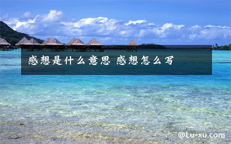感想是什么意思 感想怎么写文章配图