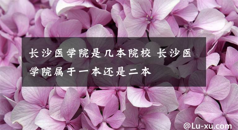 长沙医学院是几本院校 长沙医学院属于一本还是二本