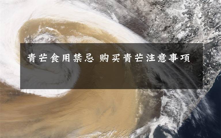 青芒食用禁忌 购买青芒注意事项文章配图