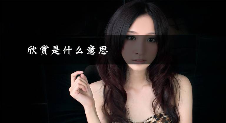 欣赏是什么意思文章配图