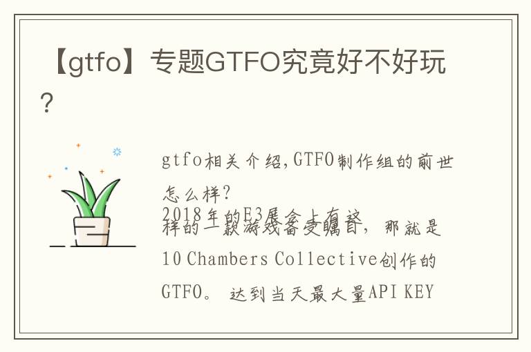 【gtfo】专题GTFO究竟好不好玩？