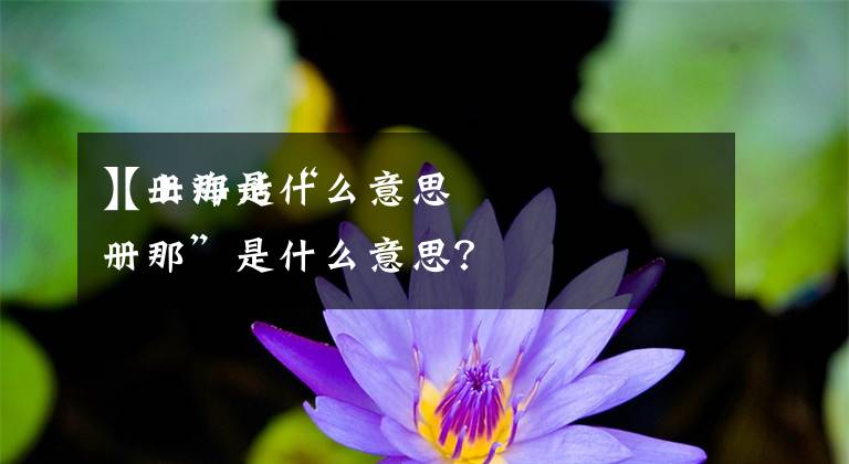 【册那是什么意思
】上海话“册那”是什么意思？文章配图