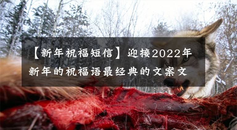 【新年祝福短信】迎接2022年新年的祝福语最经典的文案文章。