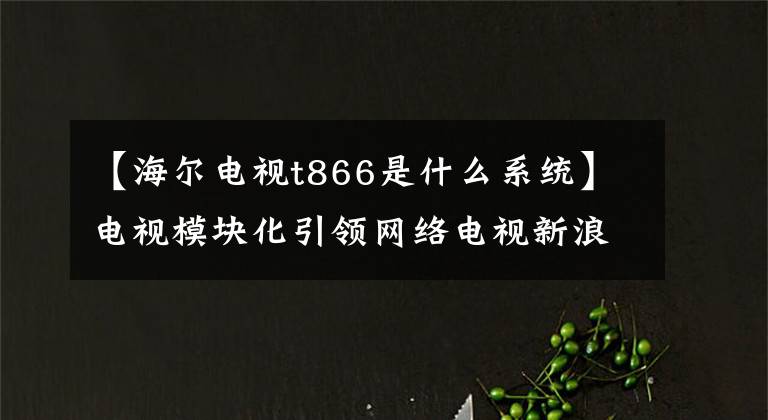 【海尔电视t866是什么系统】电视模块化引领网络电视新浪潮