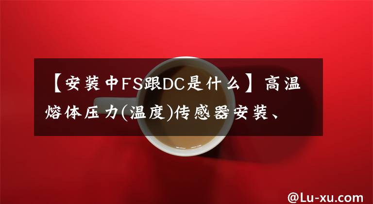 【安装中FS跟DC是什么】高温熔体压力(温度)传感器安装、操作和维护工作指南