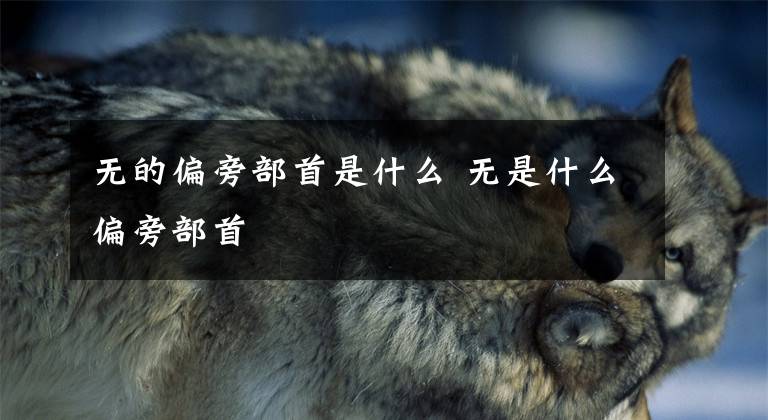 无的偏旁部首是什么 无是什么偏旁部首文章配图