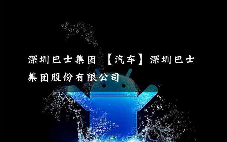 深圳巴士集团 【汽车】深圳巴士集团股份有限公司