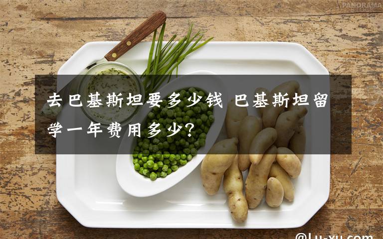 去巴基斯坦要多少钱 巴基斯坦留学一年费用多少？文章配图
