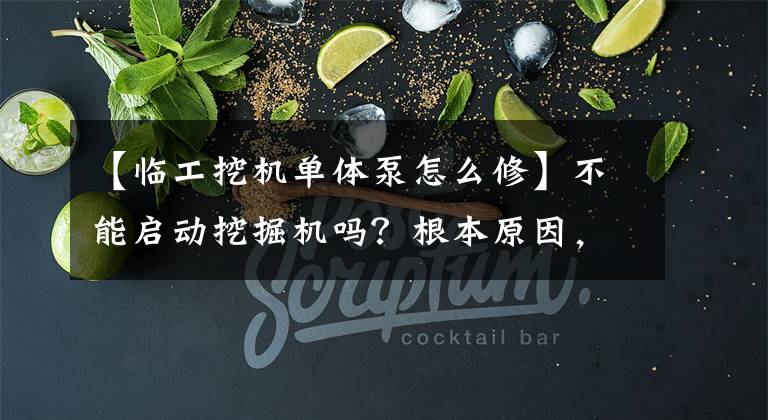 【临工挖机单体泵怎么修】不能启动挖掘机吗？根本原因，师傅帮你整理的。文章配图