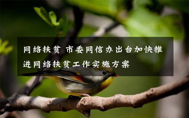 网络扶贫 市委网信办出台加快推进网络扶贫工作实施方案文章配图