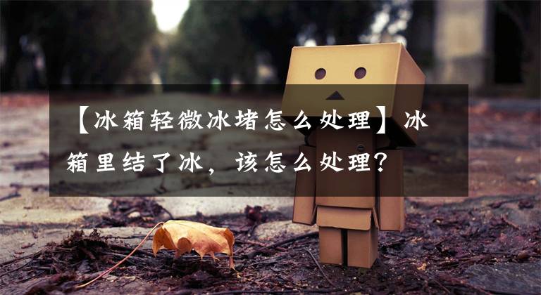 【冰箱轻微冰堵怎么处理】冰箱里结了冰，该怎么处理？