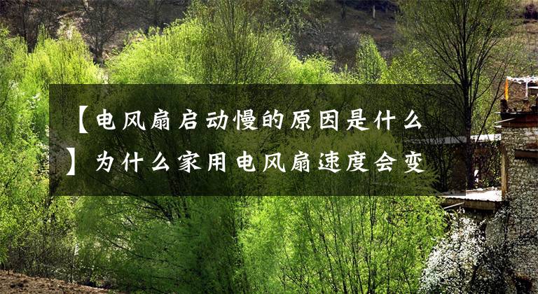 【电风扇启动慢的原因是什么】为什么家用电风扇速度会变慢？文章配图