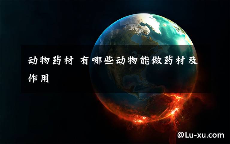 动物药材 有哪些动物能做药材及作用文章配图